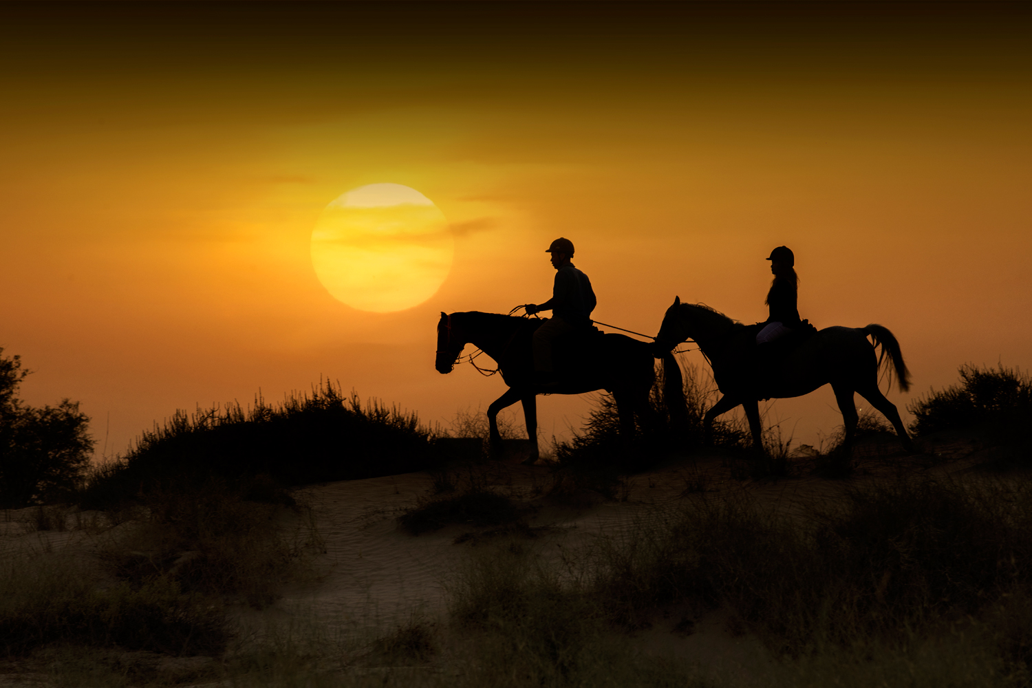 Where to go horse riding in the desert in the UAE | Time Out Sharjah