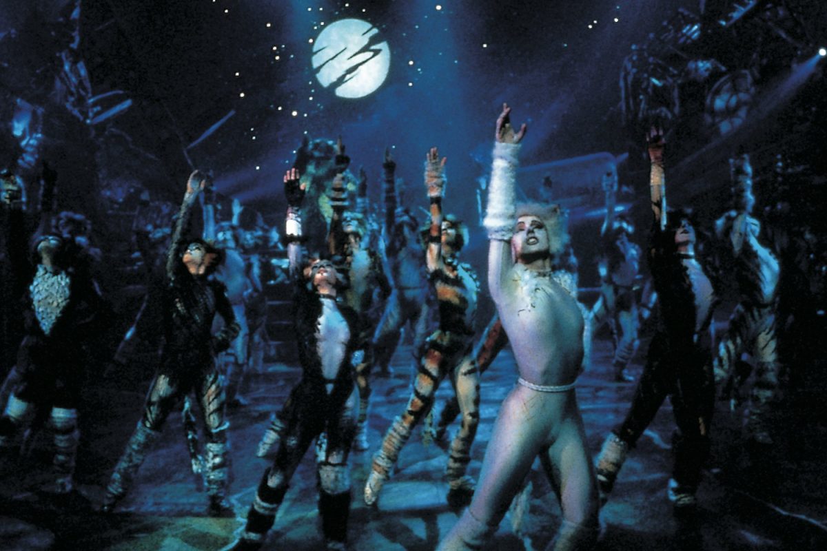 Watch cats sales online free
