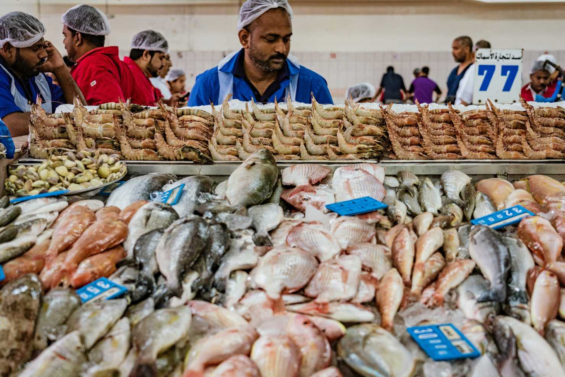 sharjah-fish-market-time-out-sharjah